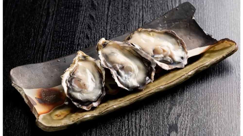 Japanese Oyster Exports and Harikai Oyster