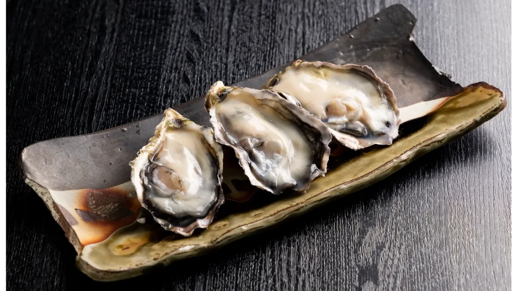 Japanese Oyster Exports and Harikai Oyster