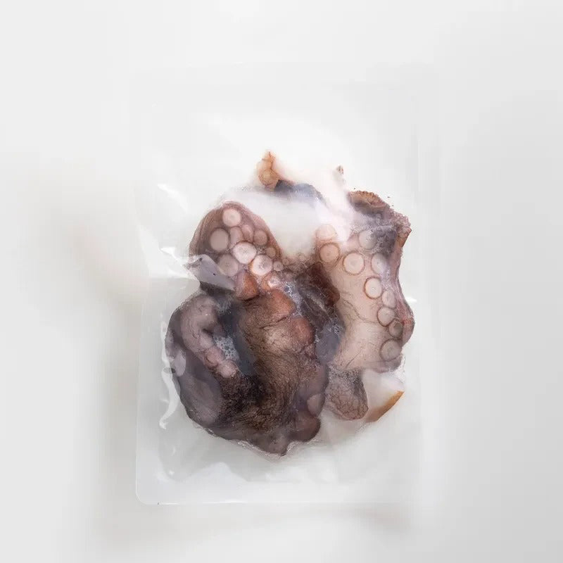 Octopus