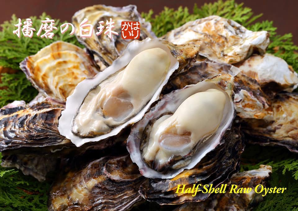 Oyster